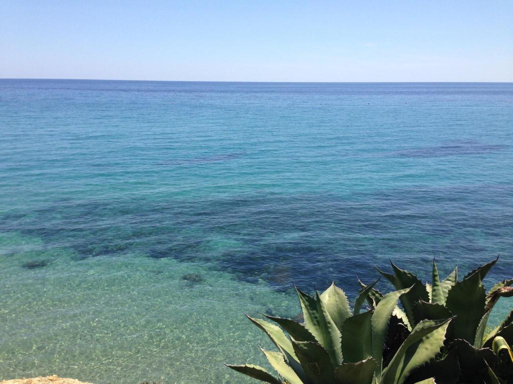 Hotel Ideal Таджа Екстер'єр фото